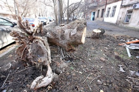 Улица Южная — сердце Молдаванки (фоторепортаж)