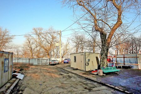 Капремонт бульвара Жванецкого: завоз строительных материалов, геодезические работы, демонтаж бордюрного камня (фоторепортаж)