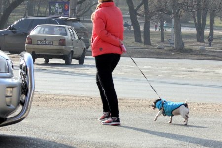 Балковская - единственная улица Одессы, которая относится к трем районам города (фоторепортаж)