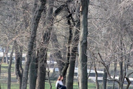 Балковская - единственная улица Одессы, которая относится к трем районам города (фоторепортаж)