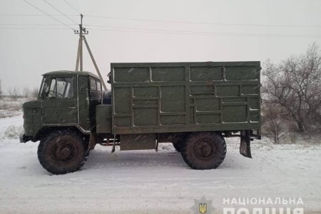 В Подольском районе жители занимались незаконной вырубкой и перевозкой леса: по всем фактам ведутся расследования (фото)