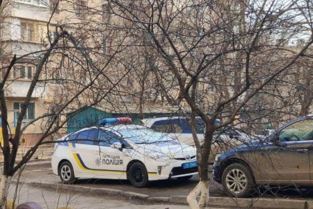 На Инглези собака выпала с балкона третьего этажа: в теле животного обнаружили пулю от пневматического оружия (фото, видео)