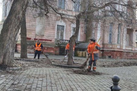 К окончанию зимы коммунальщики навели порядок в дендропарке Победы и на Старосенной площади (фото)
