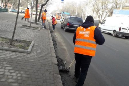К окончанию зимы коммунальщики навели порядок в дендропарке Победы и на Старосенной площади (фото)