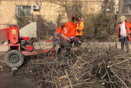 К окончанию зимы коммунальщики навели порядок в дендропарке Победы и на Старосенной площади (фото)