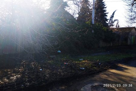 Горожан предупреждают об опасности инвестировать средства в незаконный объект строительства на Петрашевского