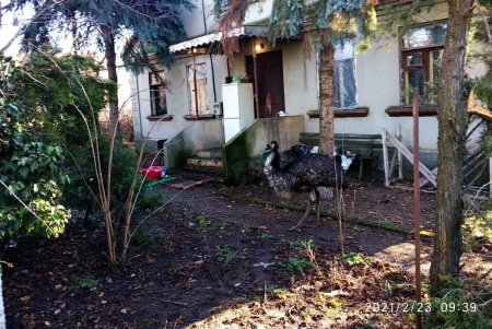 Горожан предупреждают об опасности инвестировать средства в незаконный объект строительства на Петрашевского