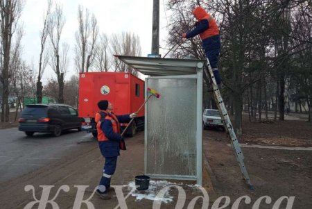 Коммунальщики во всех районах города убрали стихийные свалки, очистили дождеприемники и остановочные комплексы (фото)
