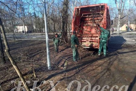 Коммунальщики во всех районах города убрали стихийные свалки, очистили дождеприемники и остановочные комплексы (фото)