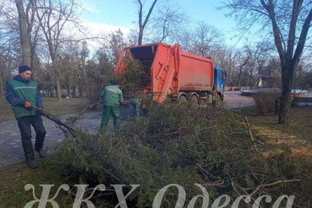 Коммунальщики во всех районах города убрали стихийные свалки, очистили дождеприемники и остановочные комплексы (фото)