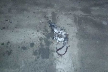 В Черноморске правоохранители задержали двух мужчин, которые пытались поджечь автомобиль (фото)