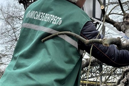 Озеленители проводят формовочную обрезку более 300 деревьев в парках и на площадях (фото)