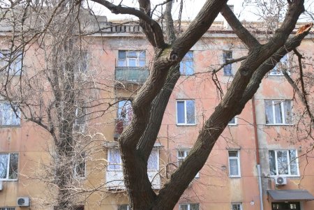 В Прохоровском сквере будет Музей Холокоста (фоторепортаж)