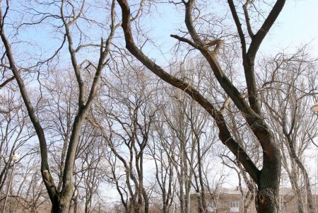 В Прохоровском сквере будет Музей Холокоста (фоторепортаж)