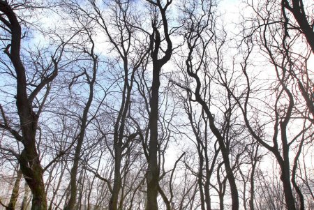 В Прохоровском сквере будет Музей Холокоста (фоторепортаж)