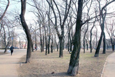 В Прохоровском сквере будет Музей Холокоста (фоторепортаж)