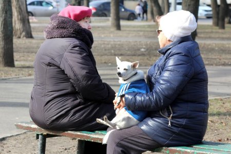 В Прохоровском сквере будет Музей Холокоста (фоторепортаж)