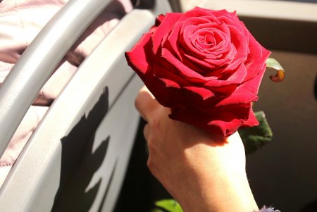 В честь Международного женского дня пассажиркам троллейбуса № 9 дарили розы (фоторепортаж)
