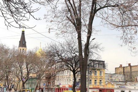 Сквер имени Пушкина – самый труднодоступный в городе (фоторепортаж)