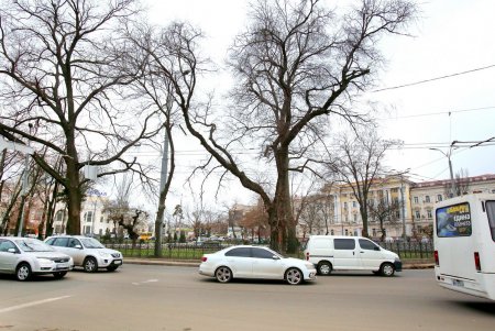 Сквер имени Пушкина – самый труднодоступный в городе (фоторепортаж)