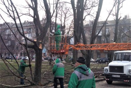 Озеленители приступили к традиционным весенним работам (фото)