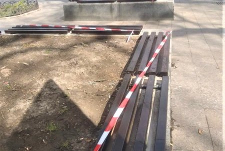 Озеленители приступили к традиционным весенним работам (фото)