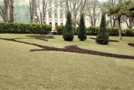 Озеленители приступили к традиционным весенним работам (фото)