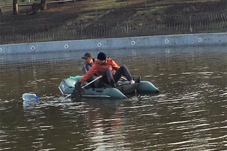 Пруды парка Победы украшают водными цветами (фото)