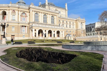 На Крымском бульваре высаживают молодые сосны (фото)