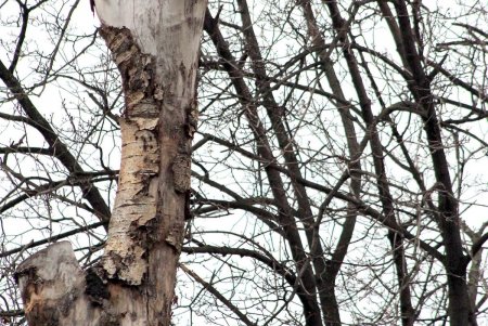 Таможенная: площадь, поменявшая за свою историю семь названий (фоторепортаж) 