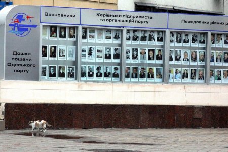 Таможенная: площадь, поменявшая за свою историю семь названий (фоторепортаж) 
