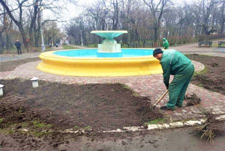 Озеленители высаживают розы: на городских клумбах появится почти 90 тысяч новых кустов (фото)