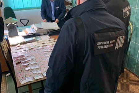 Лесничий госпредприятия в Одесской области предстанет перед судом за продажу древесины без документов