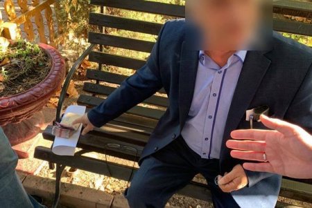 Лесничий госпредприятия в Одесской области предстанет перед судом за продажу древесины без документов