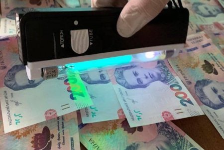 Лесничий госпредприятия в Одесской области предстанет перед судом за продажу древесины без документов