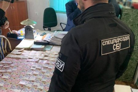 Лесничий госпредприятия в Одесской области предстанет перед судом за продажу древесины без документов