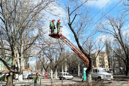 В Киевском районе коммунальщики обрезают деревья и сухие ветки
