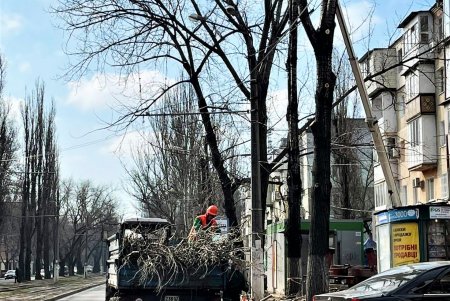 В Киевском районе коммунальщики обрезают деревья и сухие ветки