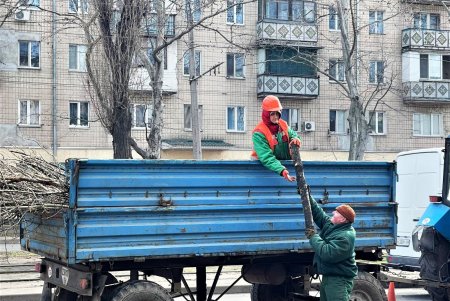 В Киевском районе коммунальщики обрезают деревья и сухие ветки