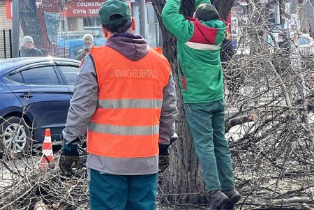 В Киевском районе коммунальщики обрезают деревья и сухие ветки