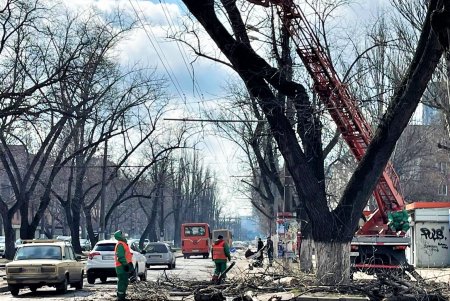 В Киевском районе коммунальщики обрезают деревья и сухие ветки