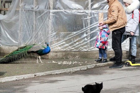 «День Земли» в Одесском зоопарке (фоторепортаж) 