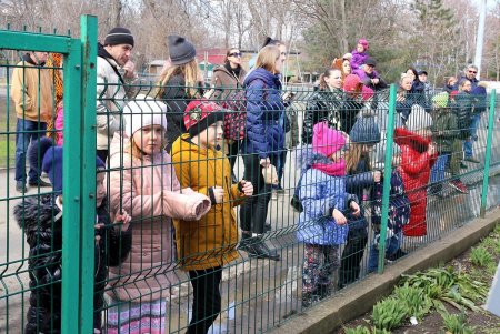 «День Земли» в Одесском зоопарке (фоторепортаж) 