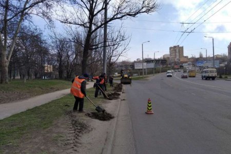 Коммунальщики выполнили в городе санобработку остановок и очистили ряд улиц (фото)