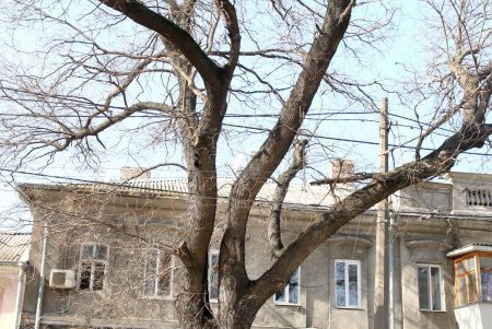 Изюминка старой Одессы — улица Богдана Хмельницкого (фоторепортаж) 
