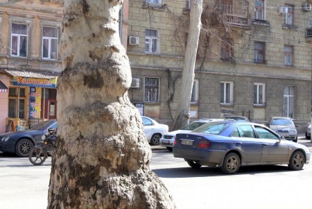 Изюминка старой Одессы — улица Богдана Хмельницкого (фоторепортаж) 