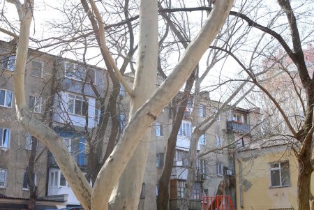 Изюминка старой Одессы — улица Богдана Хмельницкого (фоторепортаж) 
