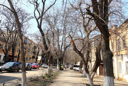 Изюминка старой Одессы — улица Богдана Хмельницкого (фоторепортаж) 