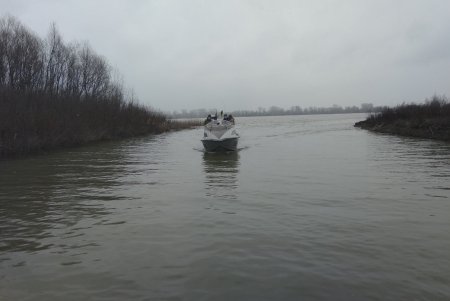 Пограничники Констанцы и Измаила возобновили совместное патрулирование на Дунае (фото)