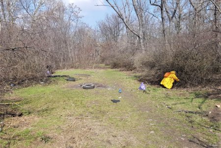 В лесопарке «Аэропортовский» прошел субботник (фото)